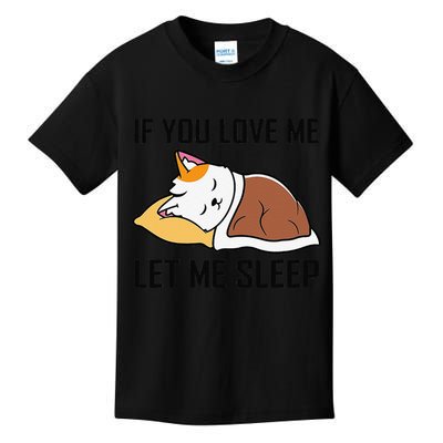 If You Love Me Let Me Sleep Cat Pet Lover Funny Gifts Kids T-Shirt