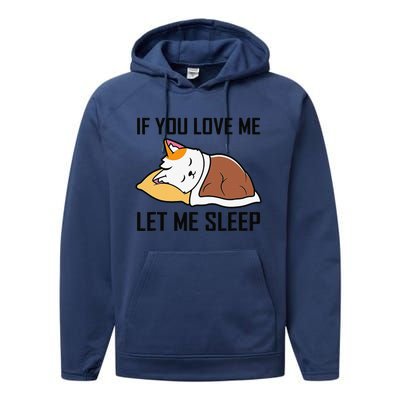 If You Love Me Let Me Sleep Cat Pet Lover Funny Gifts Performance Fleece Hoodie