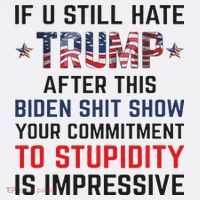 If You Still Hate Trump After This Biden Shit Show Funny Tall T-Shirt