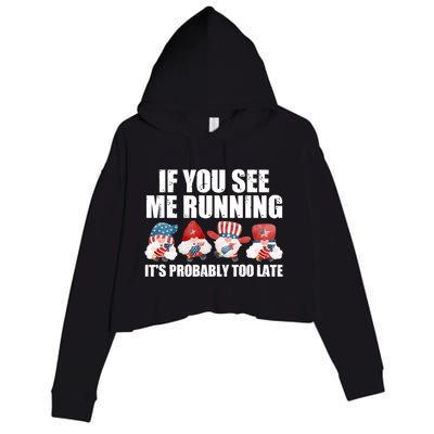 If You Sea Me Running Its Probably Fireworks Director Usa Gift Crop Fleece Hoodie