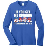 If You Sea Me Running Its Probably Fireworks Director Usa Gift Ladies Long Sleeve Shirt