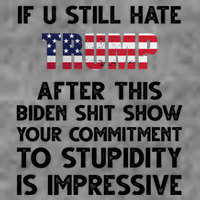 If You Still Hate Trump After This Stupidity Is Impressive Funny Premium T-Shirt