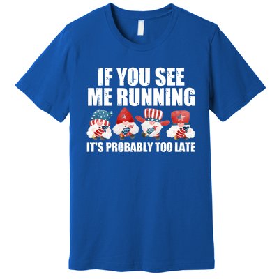 If You Sea Me Running Its Probably Fireworks Director Usa Cute Gift Premium T-Shirt