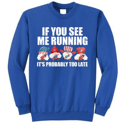 If You Sea Me Running Its Probably Fireworks Director Usa Cute Gift Tall Sweatshirt