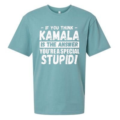 If You Think Kamala Is The Answer YouRe A Special Stupid Sueded Cloud Jersey T-Shirt