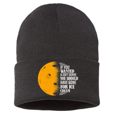 If You Wanted A Soft Serve Funny Pickleball TShirt Sustainable Knit Beanie