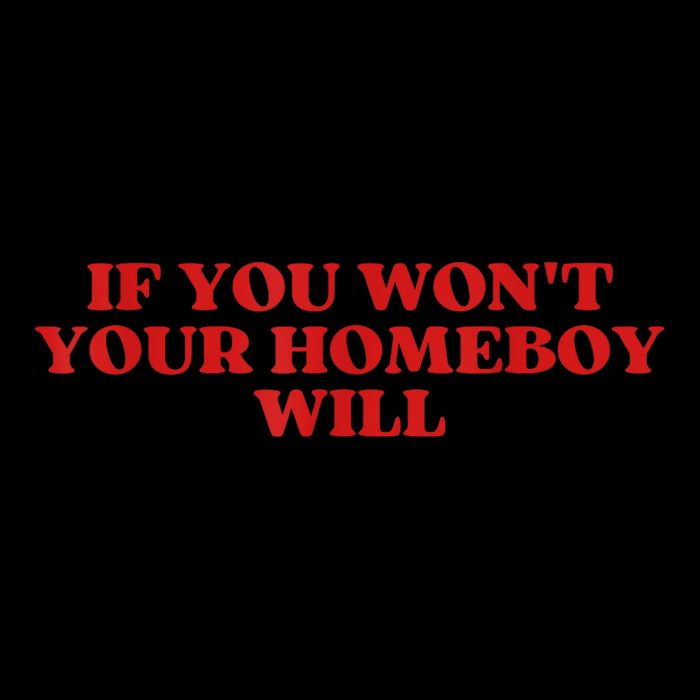 If You Wont Your Homeboy Will Sustainable Knit Beanie