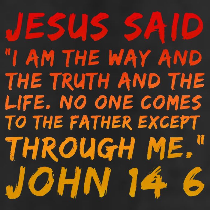 John 14 6 Jesus Said I Am The Way The Truth And The Life Cool 7 Panel Mesh Trucker Snapback Hat