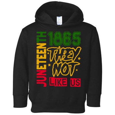 Juneteenth 1865 Black History Month They Not Like Us Toddler Hoodie
