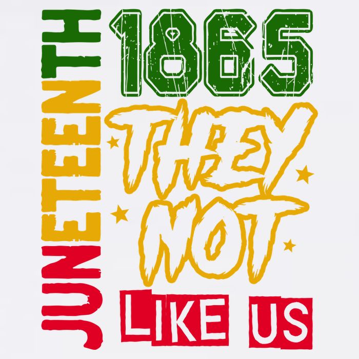 Juneteenth 1865 Black History Month They Not Like Us Garment-Dyed Sweatshirt