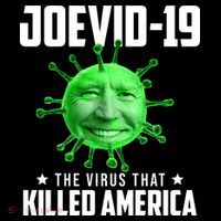 Joevid 19 The Virus That Killed America Funny Joe Biden Toddler Hoodie