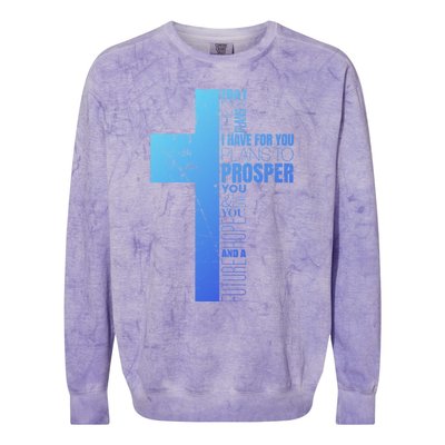 Jeremiah 29:11 Christian Cross Funny Gift Verse Sayings Meaningful Gift Colorblast Crewneck Sweatshirt