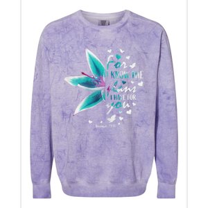 Jeremiah 29:11 Christian Bible Verse Gifts Religious Faith Colorblast Crewneck Sweatshirt