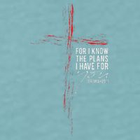 Jeremiah 2911 Christian Religious Faith Verse Cross Graphic Sueded Cloud Jersey T-Shirt