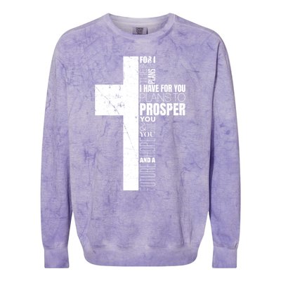 Jeremiah 29:11 Christian Cross Funny Gift Verse Sayings Meaningful Gift Colorblast Crewneck Sweatshirt