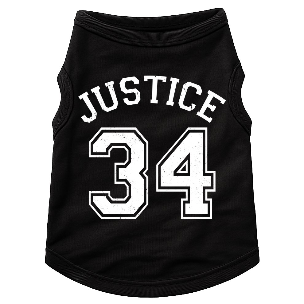 Justice 34 Counts Conviction Trump Doggie Tank