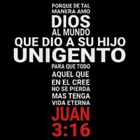 Juan 316 John Playera Camisa Bag