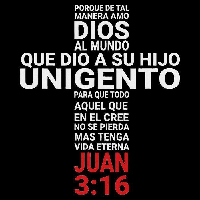 Juan 316 John Playera Camisa Bag