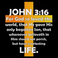 John 316 Kjv Bible Verse Womens Tank Top