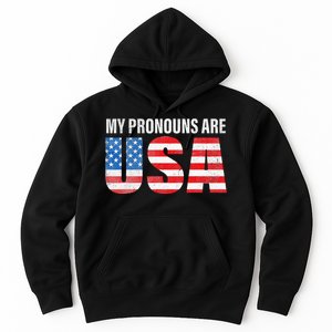 July 4th Funny My Pronouns Are USA 4th Of Jully US Flag Hoodie