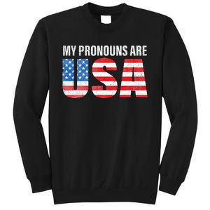 July 4th Funny My Pronouns Are USA 4th Of Jully US Flag Sweatshirt