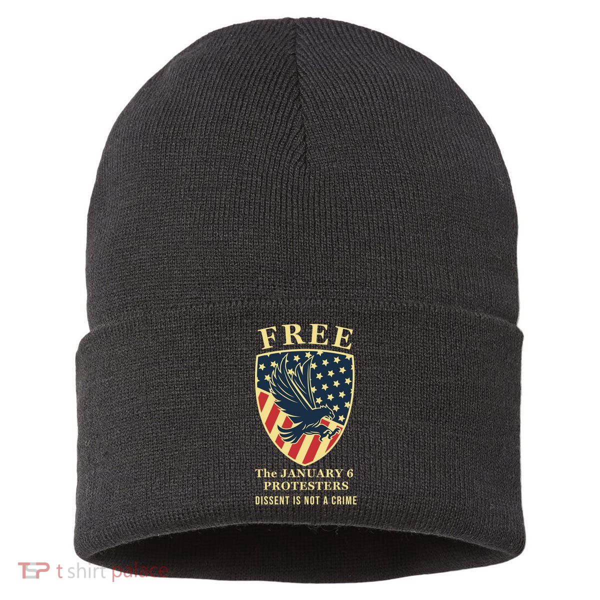 January 6 Conservative Anti Biden Free Speech Sustainable Knit Beanie