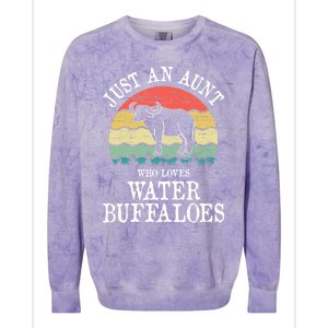 Just An Aunt Who Loves Water Buffaloes Gift Colorblast Crewneck Sweatshirt