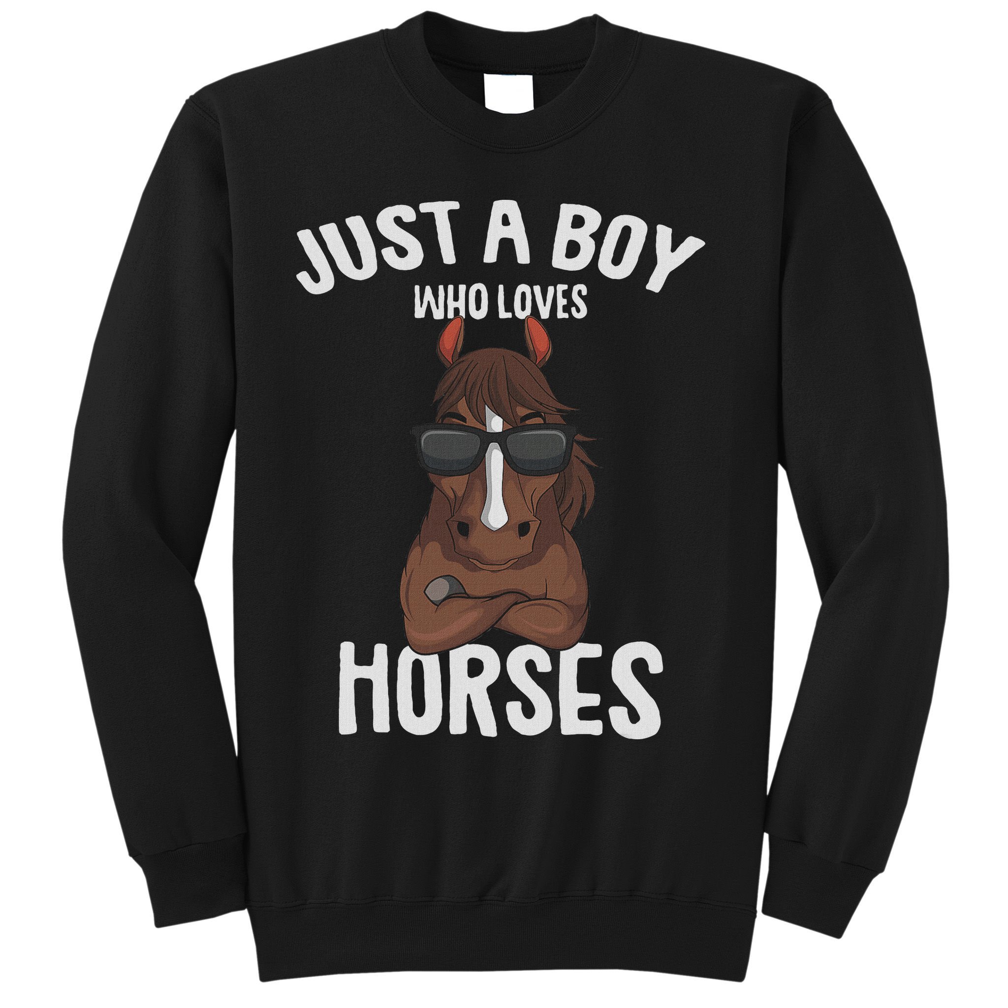 Just A Boy Who Loves Horses Equestrian Horseback Riding Sweatshirt