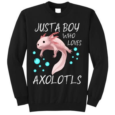 Just A Boy Who Loves Axolotls Sweatshirt