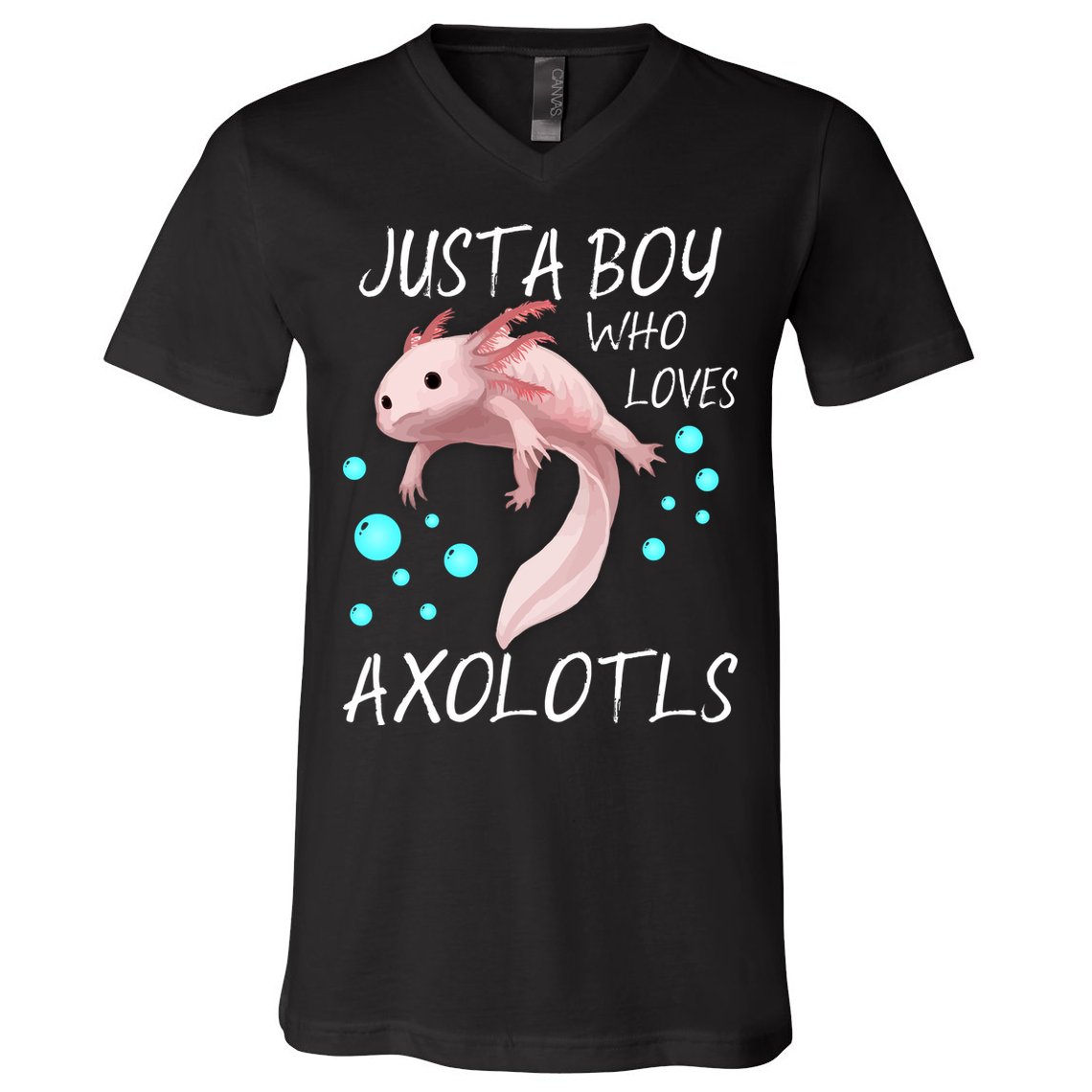 Just A Boy Who Loves Axolotls V-Neck T-Shirt