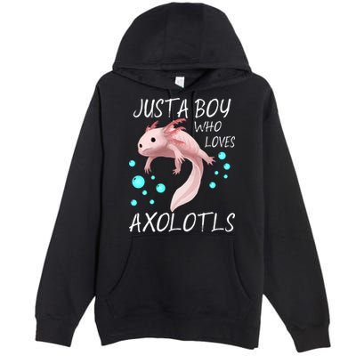 Just A Boy Who Loves Axolotls Premium Pullover Hoodie