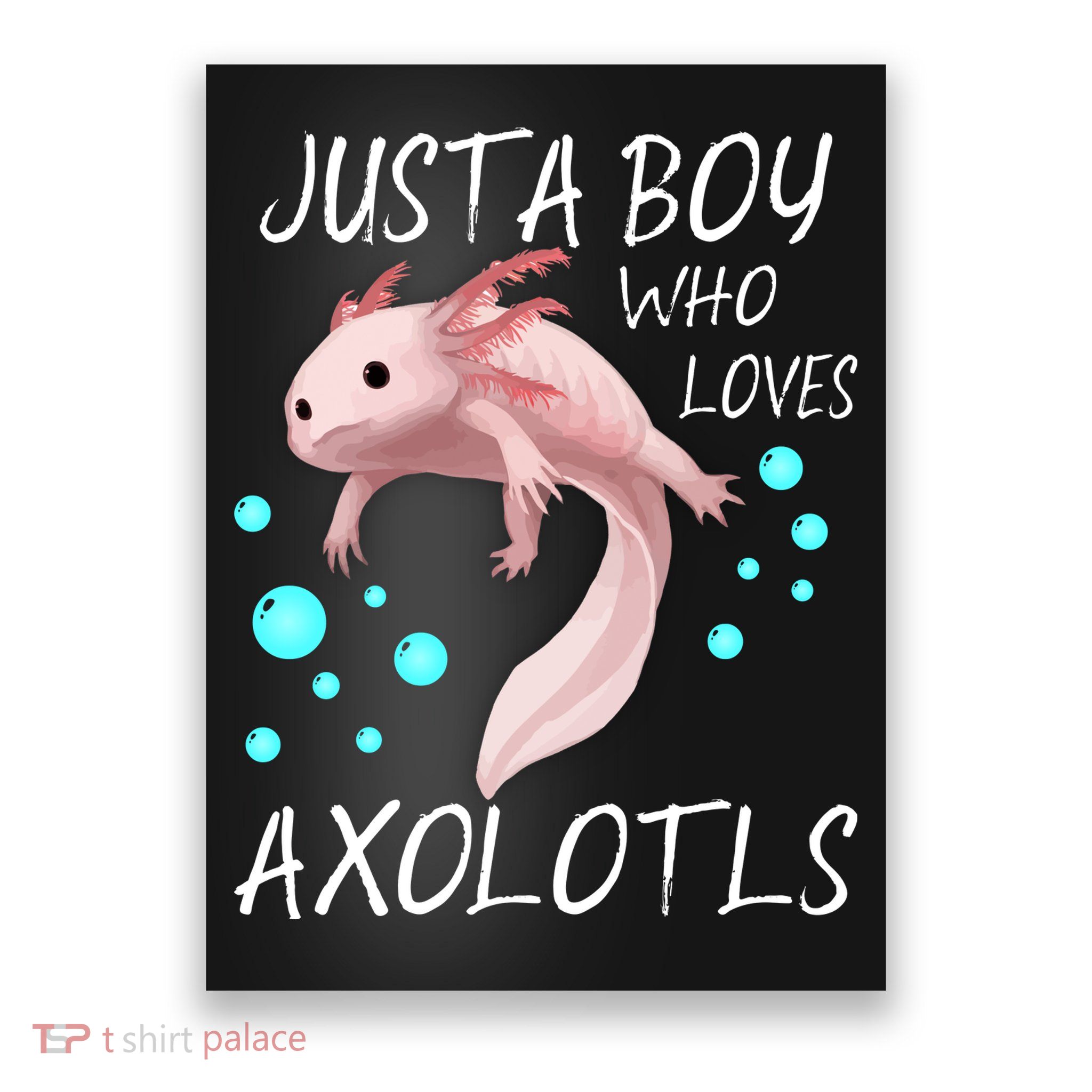 Just A Boy Who Loves Axolotls Poster