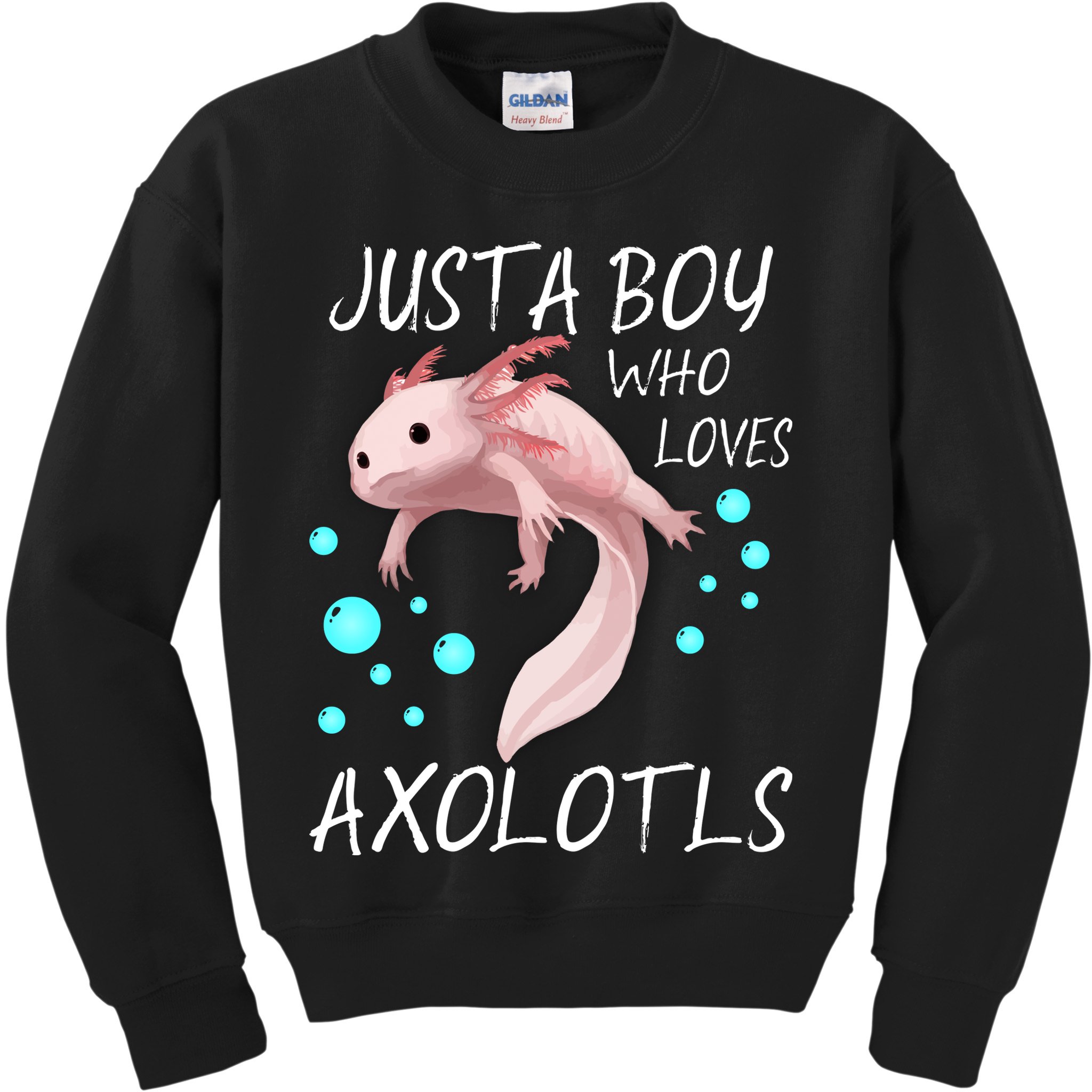 Just A Boy Who Loves Axolotls Kids Sweatshirt