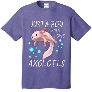 Just A Boy Who Loves Axolotls T-Shirt