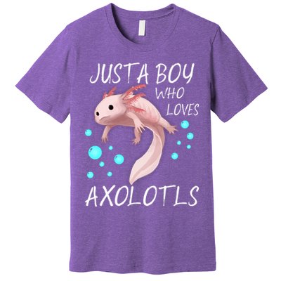 Just A Boy Who Loves Axolotls Premium T-Shirt