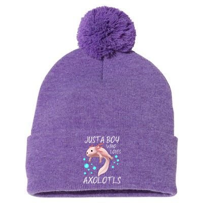 Just A Boy Who Loves Axolotls Pom Pom 12in Knit Beanie