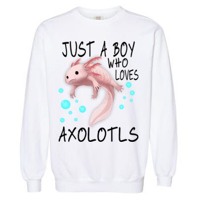 Just A Boy Who Loves Axolotls Garment-Dyed Sweatshirt