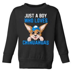 Just A Boy Who Loves Chihuahuas Toddler Sweatshirt