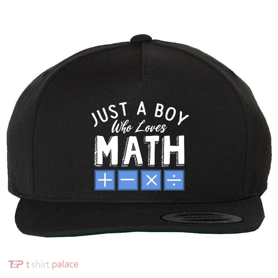 Just A Boy Who Loves Math Algebra Funny Mathematics Wool Snapback Cap