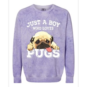 Just A Boy Who Loves Pugs Funny Pug Lover Gift For Boy Colorblast Crewneck Sweatshirt