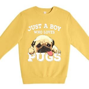 Just A Boy Who Loves Pugs Funny Pug Lover Gift For Boy Premium Crewneck Sweatshirt