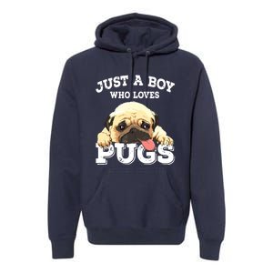 Just A Boy Who Loves Pugs Funny Pug Lover Gift For Boy Premium Hoodie