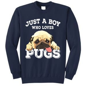 Just A Boy Who Loves Pugs Funny Pug Lover Gift For Boy Tall Sweatshirt