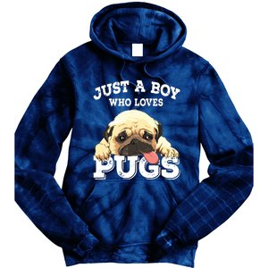 Just A Boy Who Loves Pugs Funny Pug Lover Gift For Boy Tie Dye Hoodie