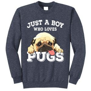 Just A Boy Who Loves Pugs Funny Pug Lover Gift For Boy Sweatshirt