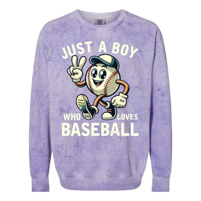 Just A Boy Who Loves Baseball Boy Colorblast Crewneck Sweatshirt