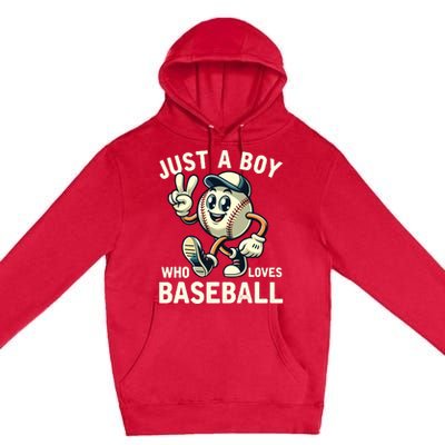 Just A Boy Who Loves Baseball Boy Premium Pullover Hoodie