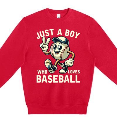 Just A Boy Who Loves Baseball Boy Premium Crewneck Sweatshirt