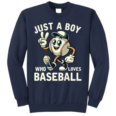 Just A Boy Who Loves Baseball Boy Sweatshirt