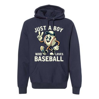 Just A Boy Who Loves Baseball Boy Premium Hoodie